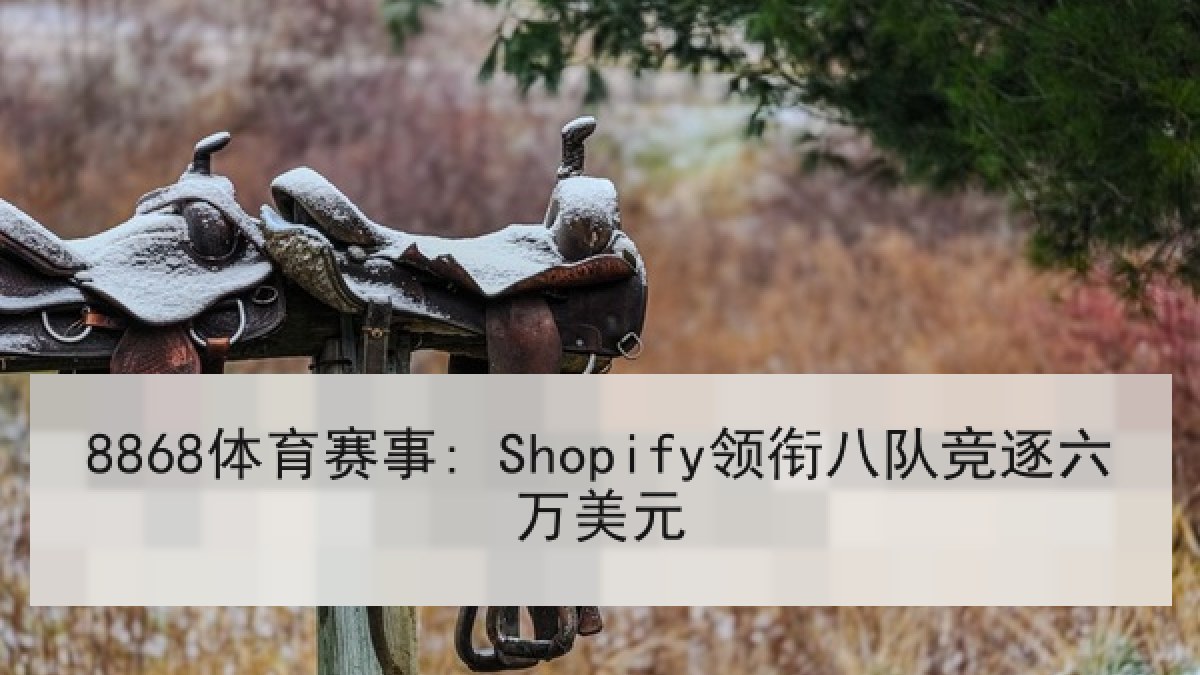 8868体育赛事: Shopify领衔八队竞逐六万美元 - 8868 SPORTS