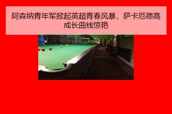 a-sen-na-qing-nian-jun-xian-qi-ying-chao-qing-chun-feng-bao-sa-ka-e-de-gao-cheng-zhang-qu-xian-jing-yan-3-656.jpg