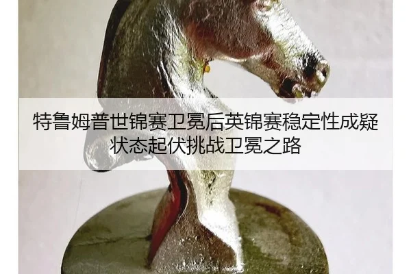 te-lu-mu-pu-shi-jin-sai-wei-mian-hou-ying-jin-sai-wen-ding-xing-cheng-yi-zhuang-tai-qi-fu-tiao-zhan-wei-mian-zhi-lu-2-914.jpg